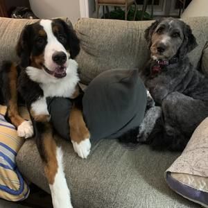 Meet your Posher, John